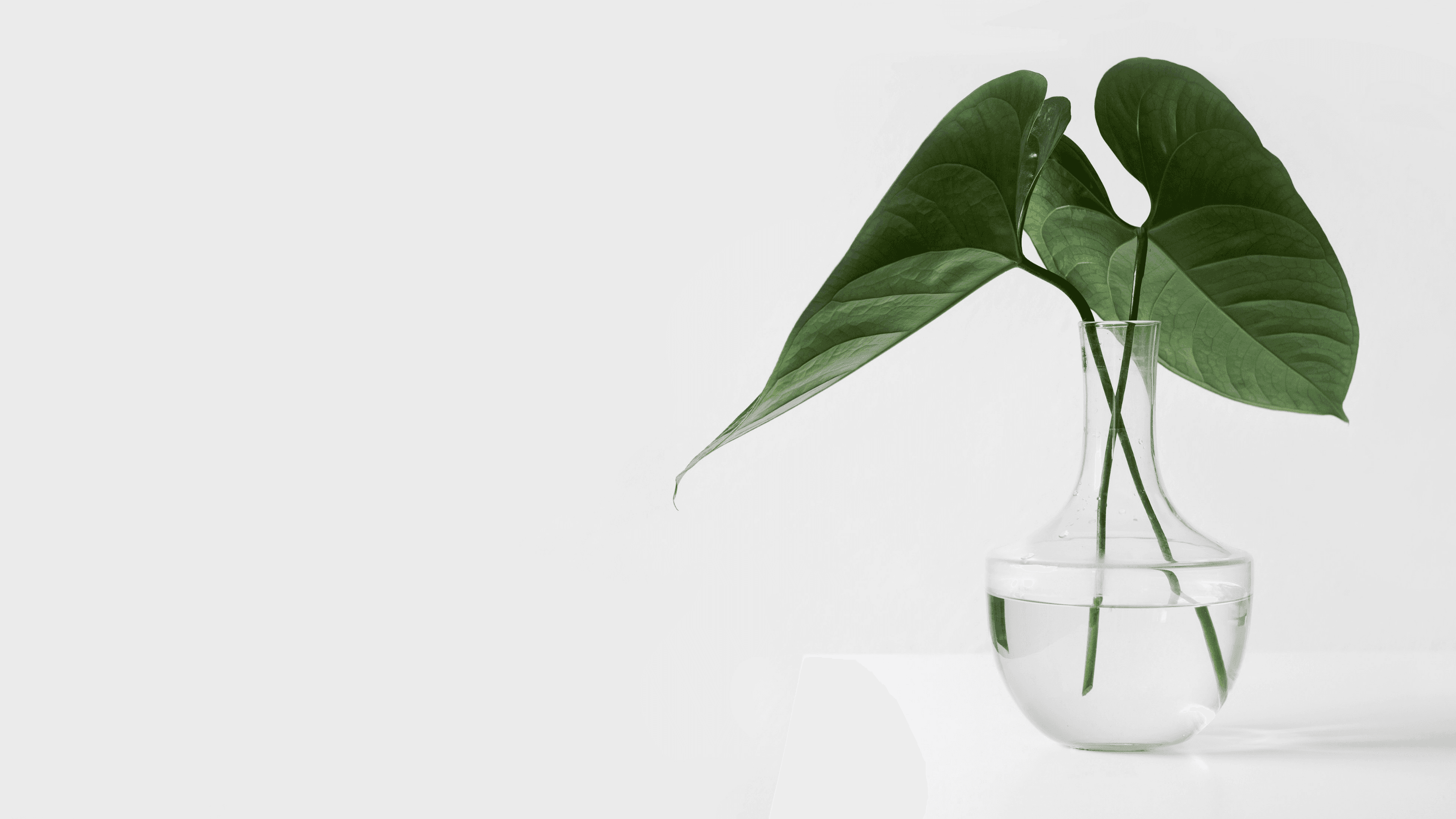 Detail webdesign